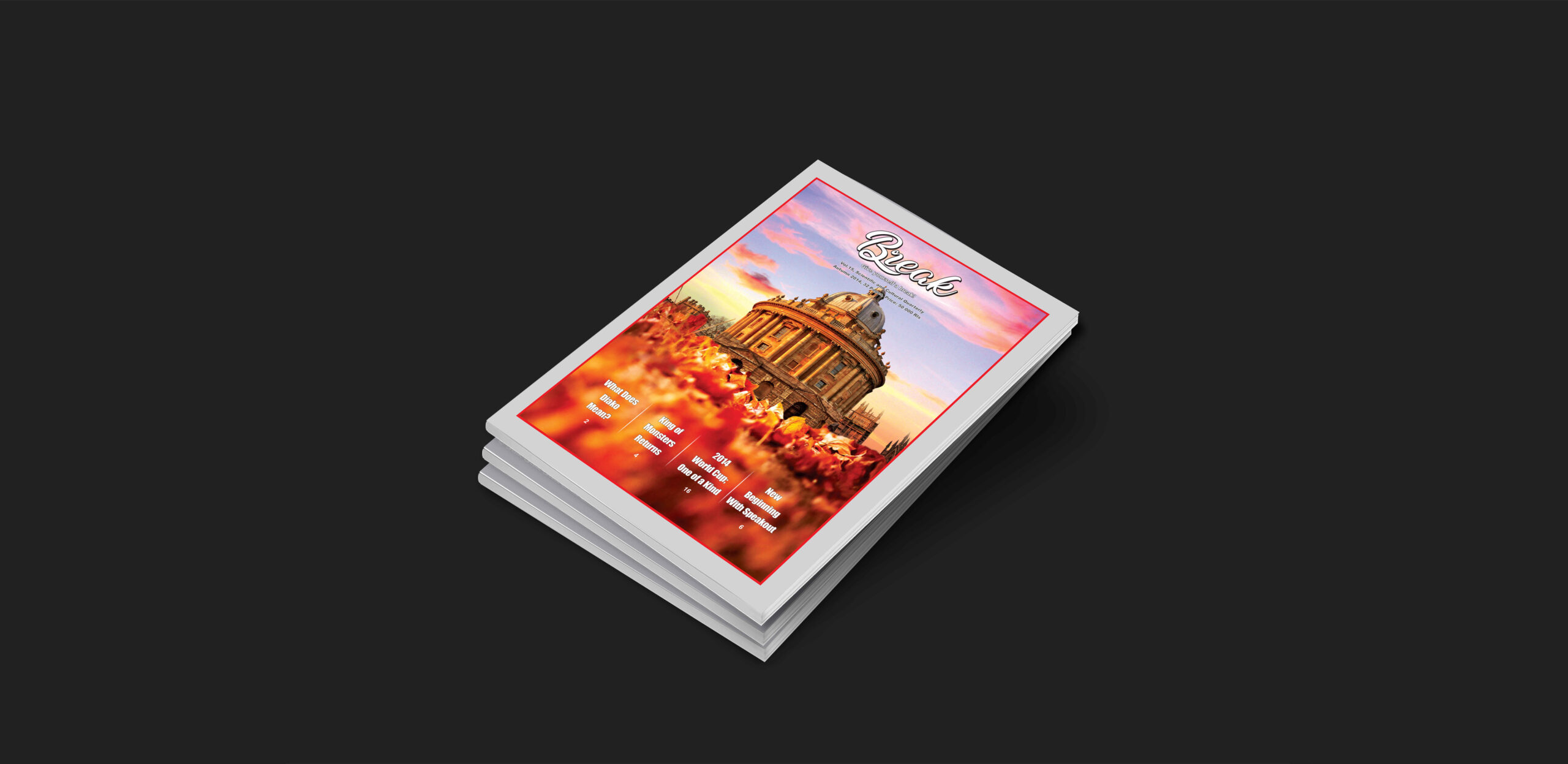 Portfolio Thumbnail Image